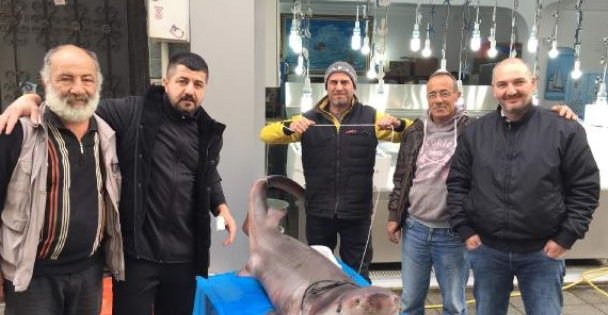DARICA'da KÖPEKBALIĞI