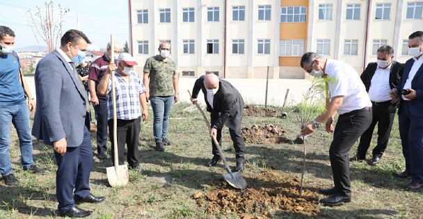 Darıca'da Okul Bahçelerine Fidan Dikiliyor