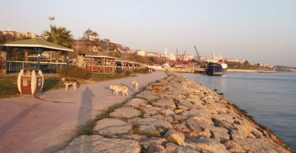 Darıca'da park ve sahillerde sessizlik hakim