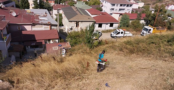 Darıca'da yılan ve akreplere karşı ilaçlama yapıldı