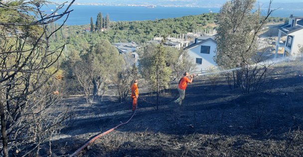 Darıca'da zeytinlikte yangın