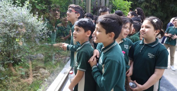 Darıcalı çocuklar Hayvanat Bahçesini geziyor