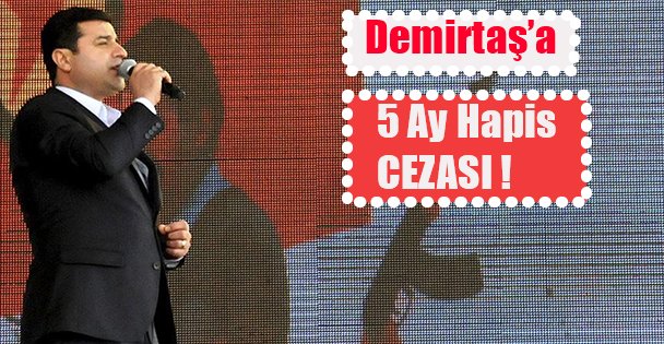 Demirtaş'a 5 ay hapis cezası