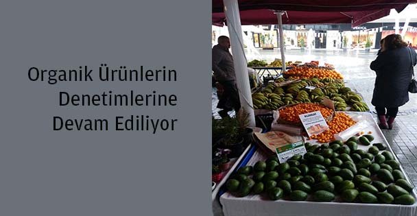 Denetime Devam