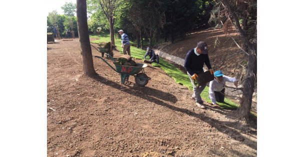 Derince'deki Stadın Çimleri, Dilovası Batı Kavşağı'na Serildi