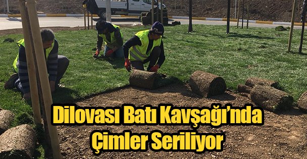 Dilovası Batı Kavşağı'nda Çimler Seriliyor