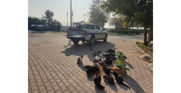 Dilovası Belediyesi Can Dostlarını Unutmadı!
