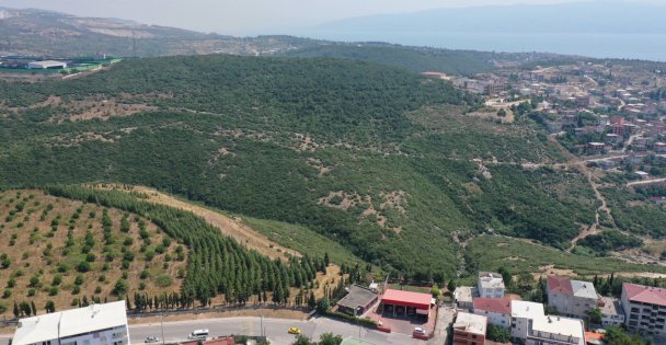 Dilovası Hastane Yoluna İlk Kazma Vuruldu