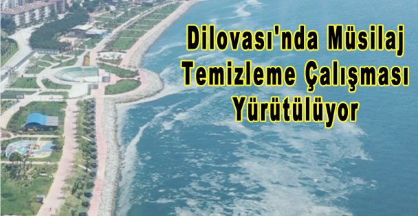 Dilovası'nda Müsilaj Temizleme Çalışması Yürütülüyor