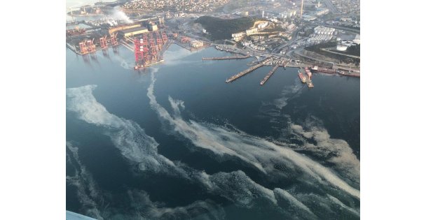 Dilovası'nda Müsilaj Temizleme Çalışması Yürütülüyor