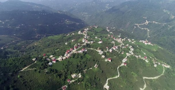 Doğayı Koruyalım Dünyamız Çöl Olmasın