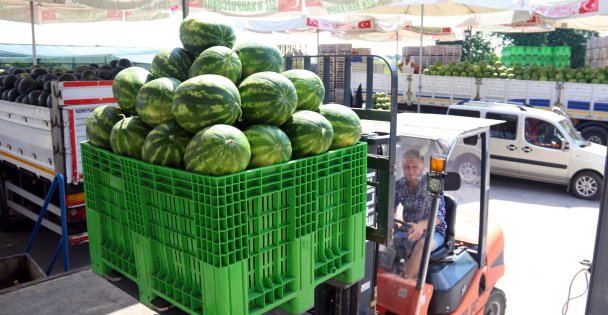 Doğu Marmara'nın karpuzları Kocaeli'den gidiyor