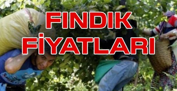 Dolardaki Artış Fındık Fiyatlarını Etkileyecek Mi?