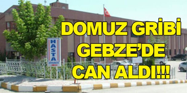 Domuz gribi Gebze'de can aldı!