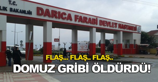 Domuz gribi öldürdü!