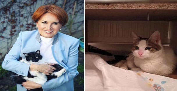 ‘'Dostlarınızı Satın Almayın''