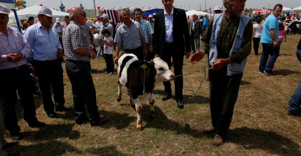 Dünya Çiftçi Günü şenlikle kutlandı