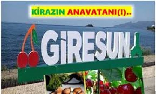 Dünya Markası Türk Kirazına Sahip Çıkıp Geliştirmeliyiz