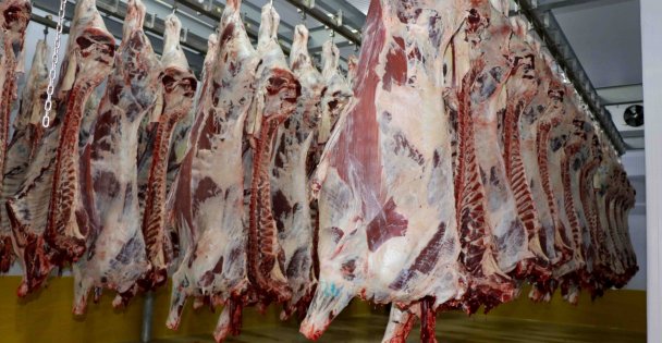 Dünya standartlarındaki Mezbahada durmak yok
