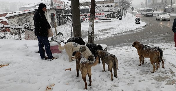 Duyarlı Vatandaş!