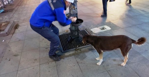 Elleriyle köpeğe su içirdi, gönülleri fethetti