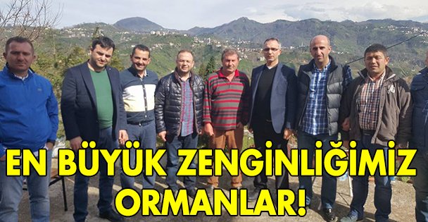 En büyük zenginliğimiz Ormanlar!