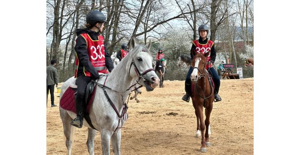 En dayanıklı atlar 120 kilometrelik parkurda yarıştı