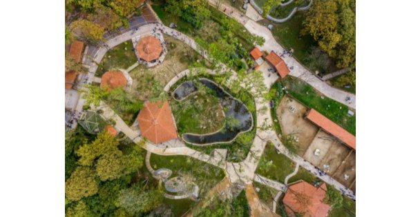 En iyi ''Ekolojik Destinasyon Ödülü'' Ormanya'nın