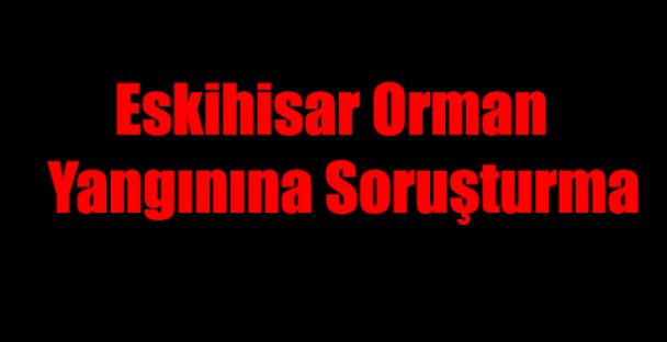 Eskihisar Orman Yangınına Soruşturma