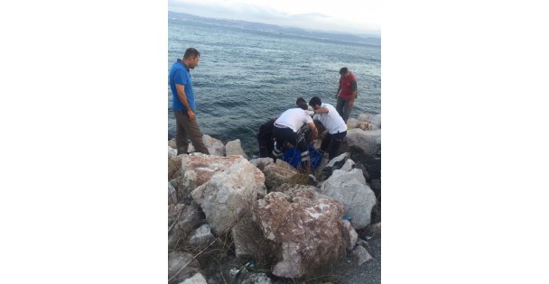 Eskihisar'da ceset bulundu!