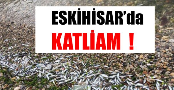 ESKİHİSAR'da KATLİAM !