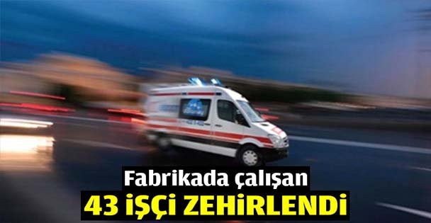 Fabrikada çalışan 43 işçi zehirlendi
