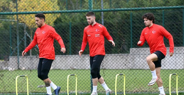 Fenerbahçe'de 12 futbolcu milli mesaide