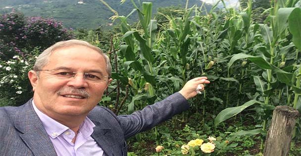 Fındığın ve Kirazın Ana Vatanı