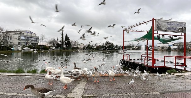 Fuar alanındaki gölette kış sessizliği