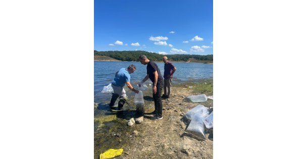Gebze Denizli Göleti'ne 35 Bin Balık Bırakıldı: Su Kaynaklarının Geleceği İçin Önemli Adım