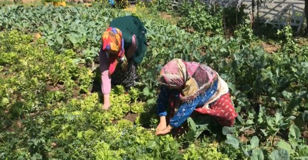 Gebze Gazetesi Beylikbağında Canlı Yayında