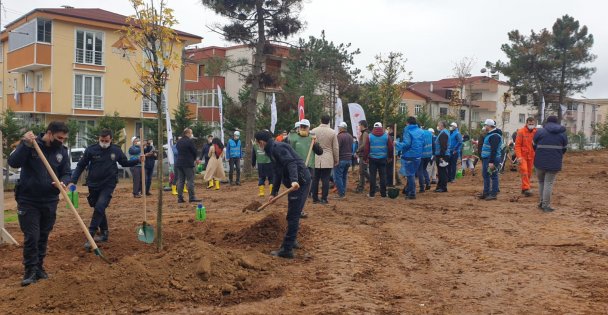 Gebze Gaziler Dağı, Büyükşehir fidanları ile yeşerecek