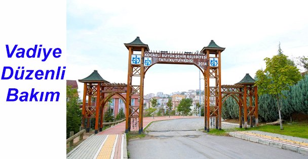 Gebze Tatlı Kuyu Vadisi'ne Düzenli Bakım