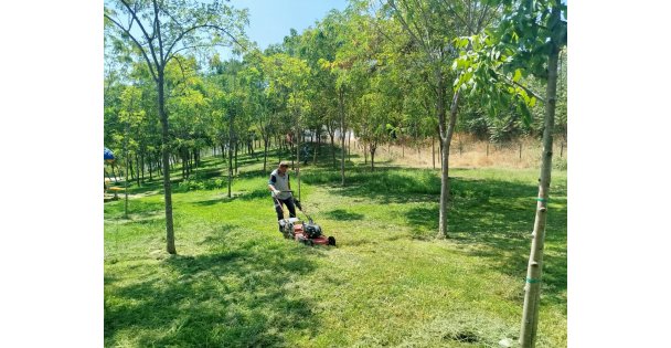 Gebze Tatlıkuyu Vadisi Kent Parkına düzenli bakım