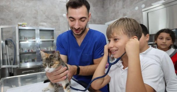 Gebze'de 10 Bin 939 Yaralı Ve Hasta Hayvanın Tedavisi Yapıldı