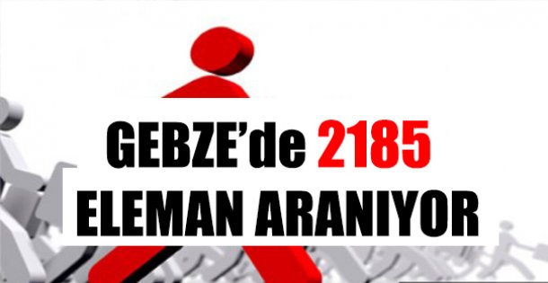 Gebze'de 2185 Eleman Aranıyor !