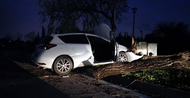 Gebze'de ağaca çarpan otomobil sürücüsü yaralandı