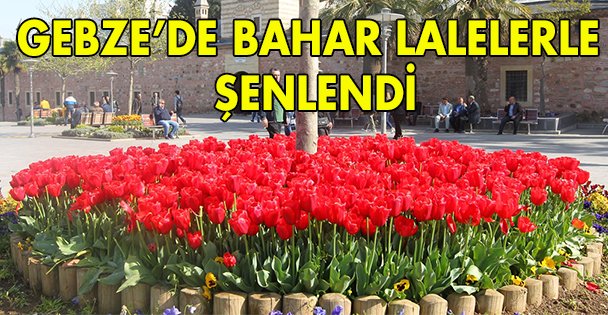 Gebze'de bahar lalelerle şenlendi