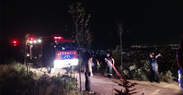 Gebze'de çıkan yangında çam ağaçları yandı