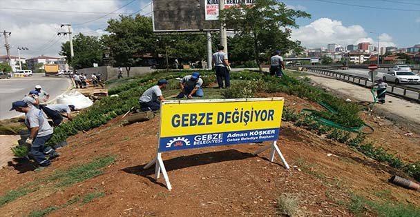 Gebze'de estetik çalışmalar