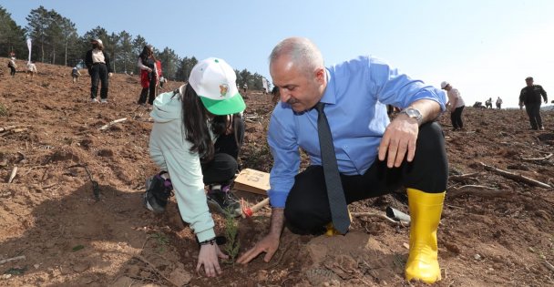Gebze'de Fidanlar Toprakla Buluştu