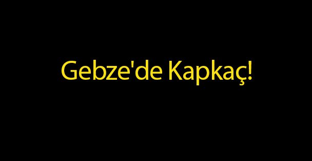 Gebze'de Kapkaç!