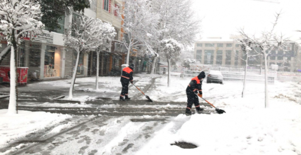 Gebze'de Karla Mücadele Çalışmaları