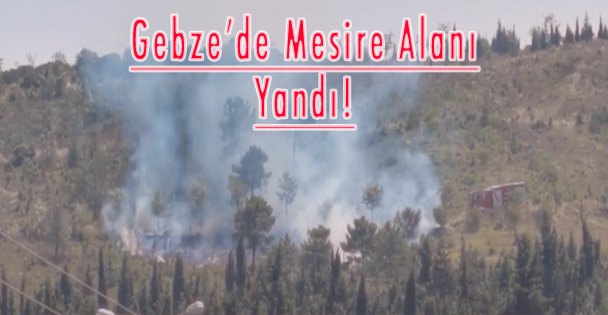 Gebze'de Mesire Alanı Yandı!